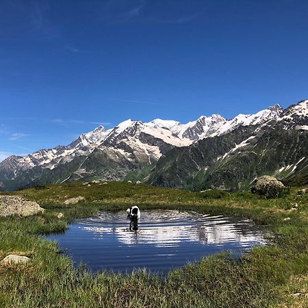 Chalet en pleine nature avec 2 appartements pour 6 ou 8 qui peuvent être réunis en 1 pour 14 personnes Saint-Gervais-les-Bains Exterior foto