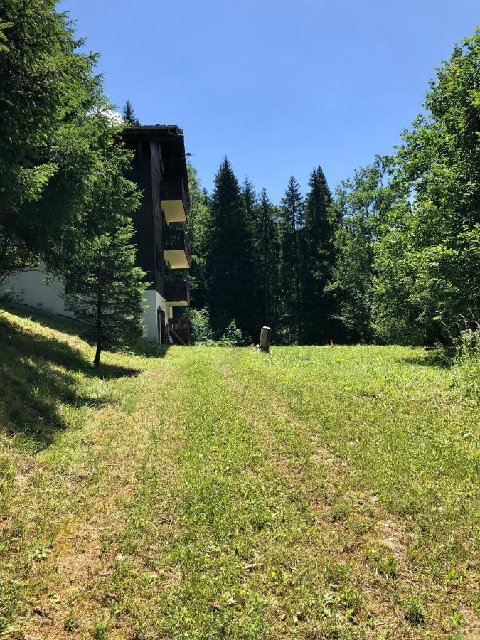 Chalet en pleine nature avec 2 appartements pour 6 ou 8 qui peuvent être réunis en 1 pour 14 personnes Saint-Gervais-les-Bains Exterior foto